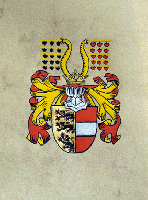 Handgemaltes Wappen auf Marmorpapier, mit Gold und Silbermalerei, ca 21 x 15 cm, 150,-?